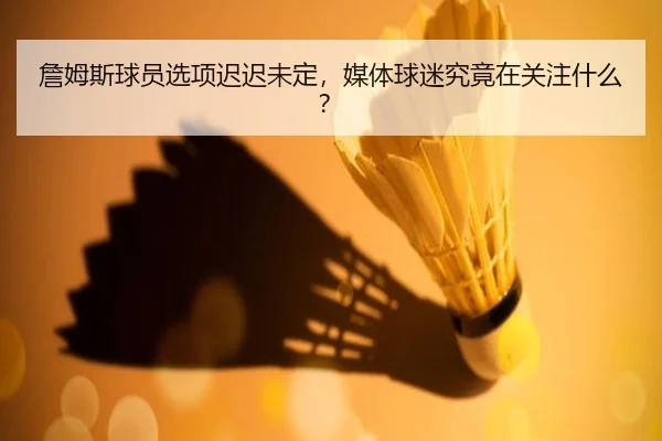 詹姆斯球员选项迟迟未定，媒体球迷究竟在关注什么？